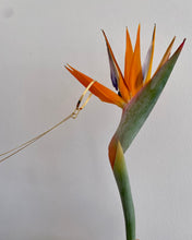 Carica l'immagine nel visualizzatore di Gallery, Collana in argento Ellisse lunga